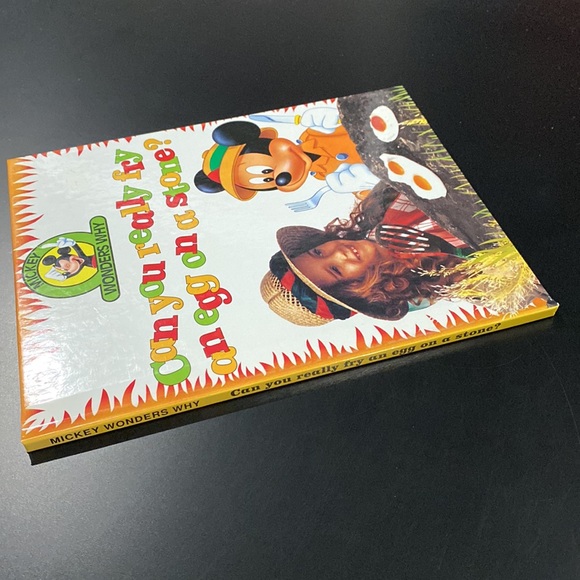 Mickey Wonders Why: Can You Really Fry an Egg on a Stone? - Hardcover Book - Picture 3 of 6